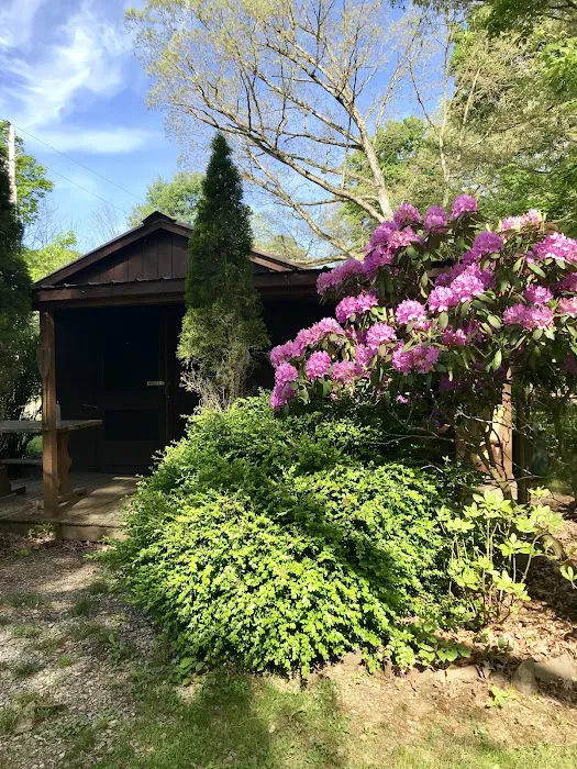 Woy Bridge Campground 3
