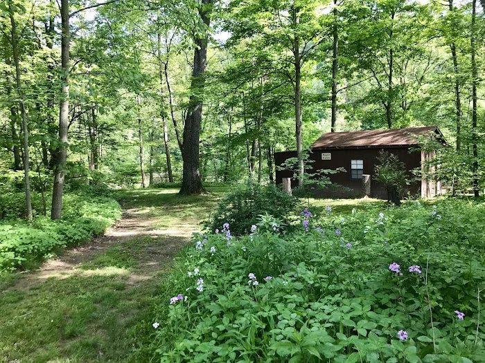 Woy Bridge Campground 1