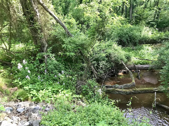 Woy Bridge Campground 8