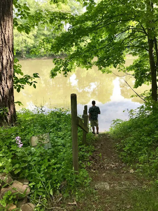 Woy Bridge Campground 4