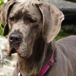 Posey Corners Campground