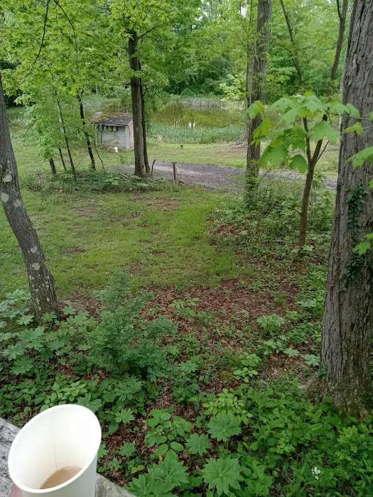 Lost Mountain Campground 3