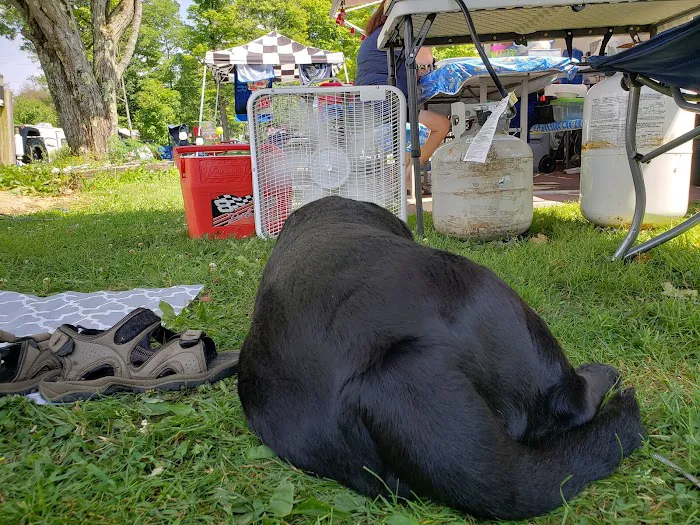 Lost Mountain Campground 9