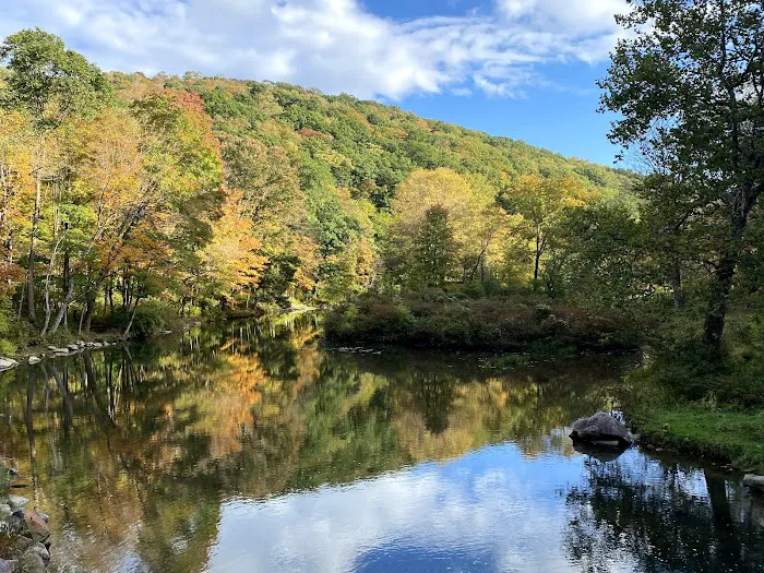 Laurel Hill State Park Campground 1