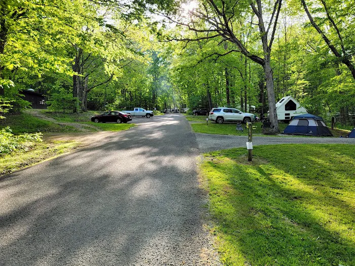 Laurel Hill State Park Campground 9