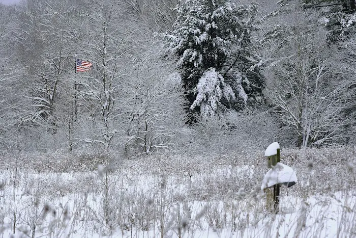 Laurel Hill State Park Campground 6