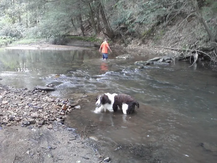 Laurel Hill State Park Group Campground 7
