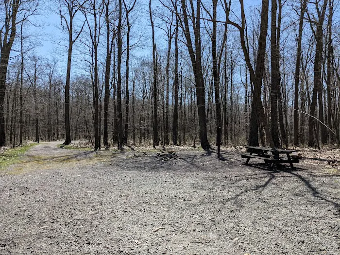 Forbes Motorized Campsite #5 7