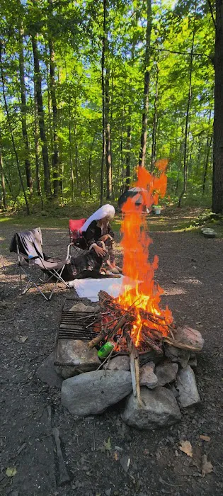 Forbes Motorized Campsite #5 2