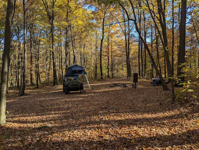 Forbes Motorized Campsite #5 6