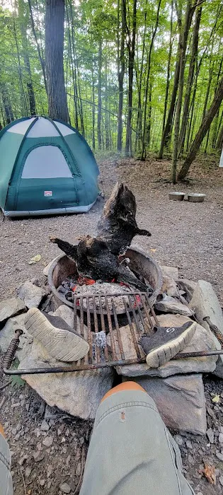 Forbes Motorized Campsite #5 8