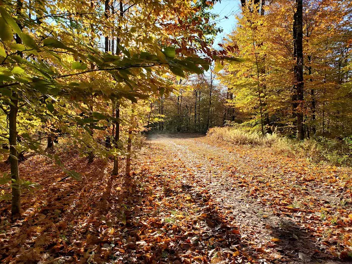 Chapendo Acres Adirondack Camping 0