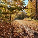 Chapendo Acres Adirondack Camping