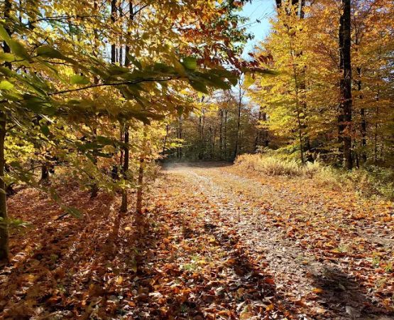 Chapendo Acres Adirondack Camping
