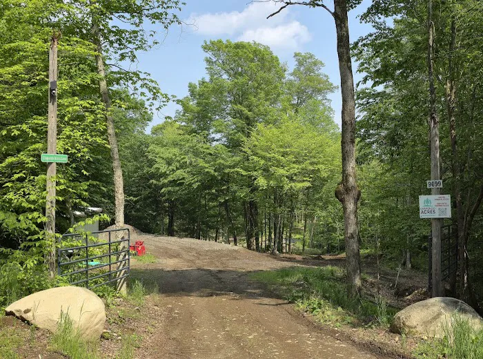 Chapendo Acres Adirondack Camping 1