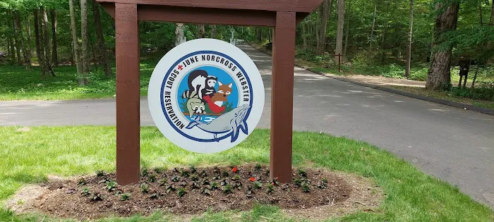 June Norcross Webster Scout Reservation 5
