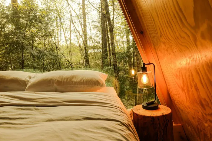 Desert of Maine - Cabins & Glamping 7