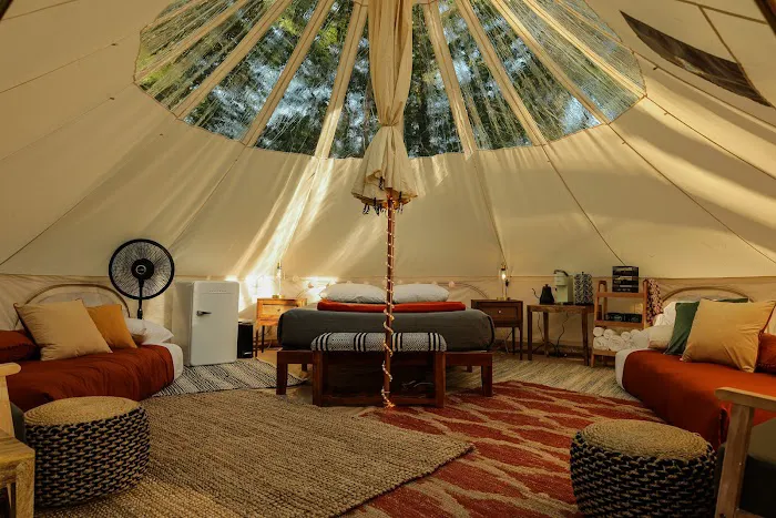 Desert of Maine - Cabins & Glamping 5