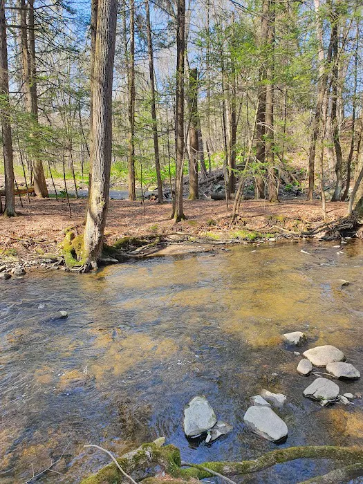 Korn's Shawangunk Kill Campground 0