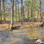 Korn's Shawangunk Kill Campground