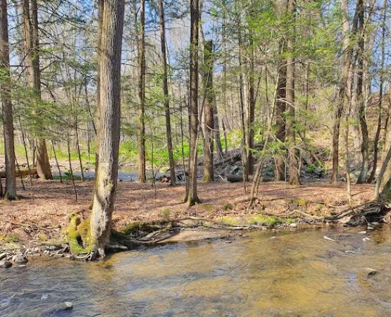 Korn's Shawangunk Kill Campground