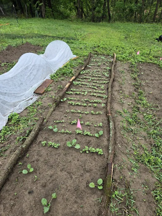 Liberation Farm 0