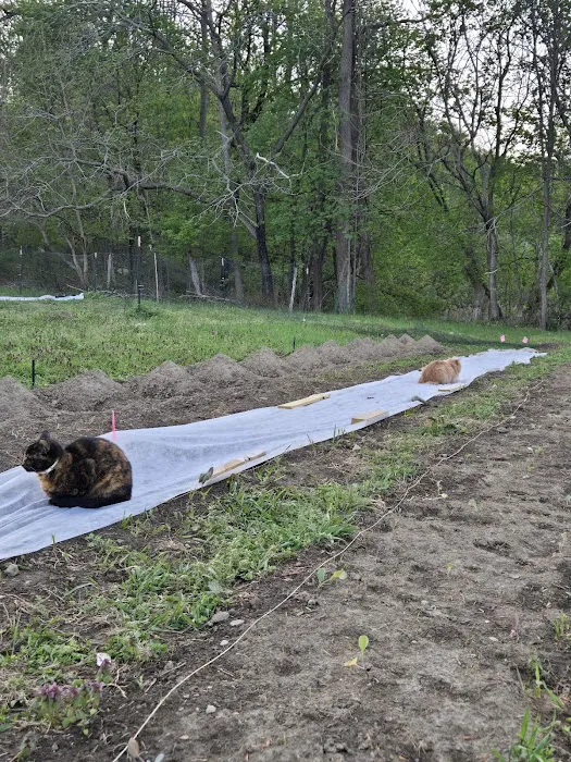 Liberation Farm 5