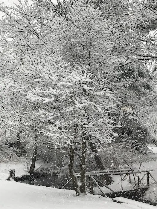 Dutchessby Falls 0