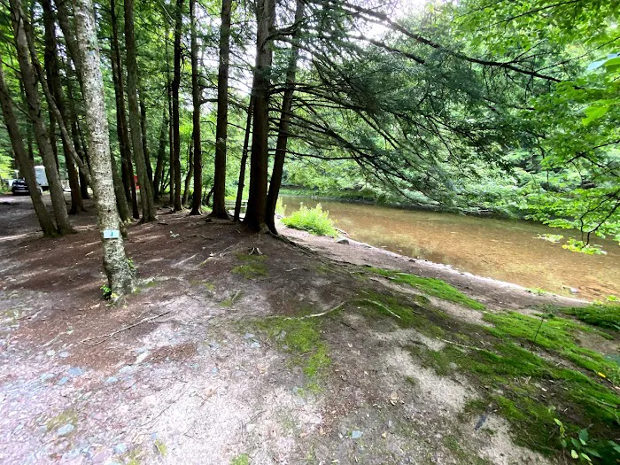 Covered Bridge Campsite 6