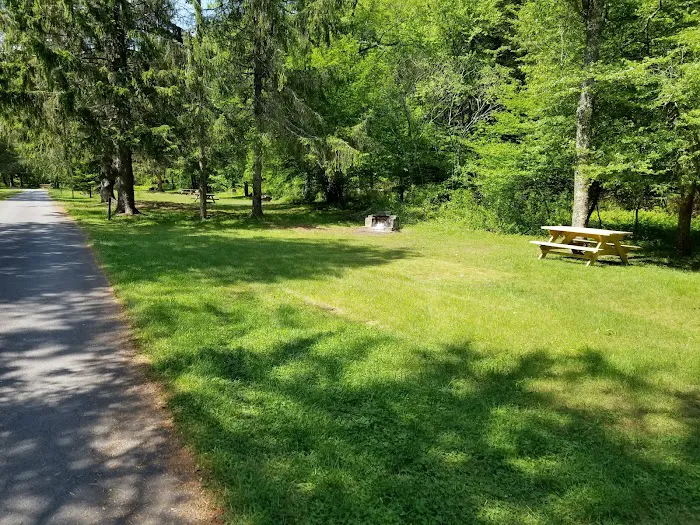 Beaverkill Campground 6
