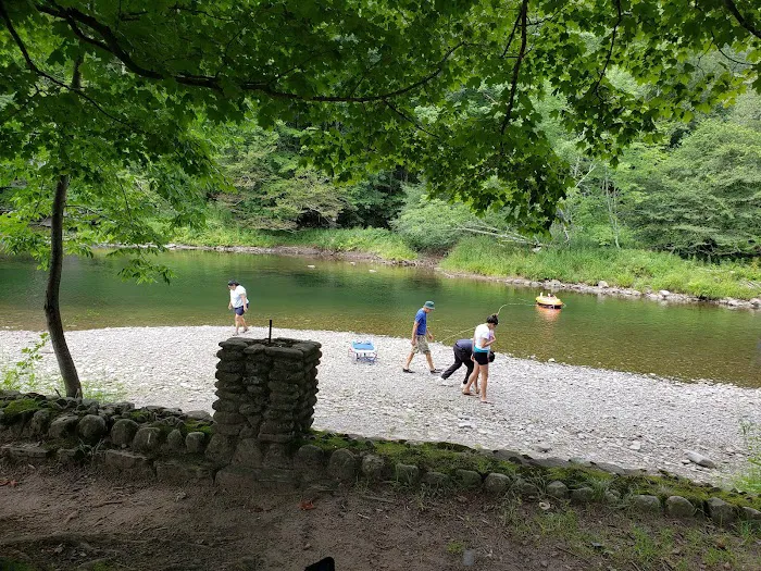 Beaverkill Campground 8