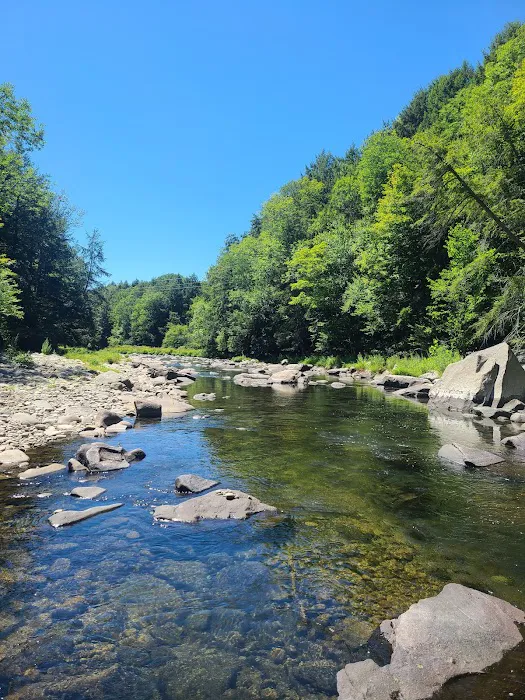 Beaverkill Campground 5