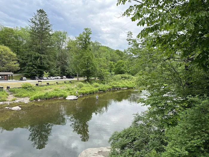 Beaverkill Campground 0