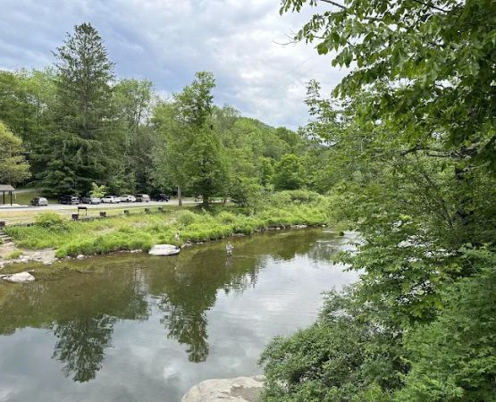 Beaverkill Campground