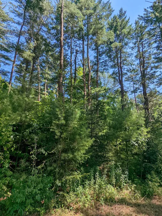 Beaverkill Campground 9
