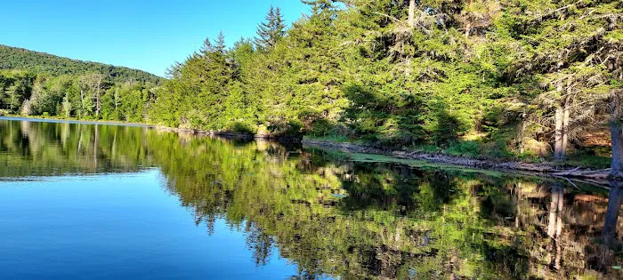 Camp Oh-Neh-Tah🌲 4
