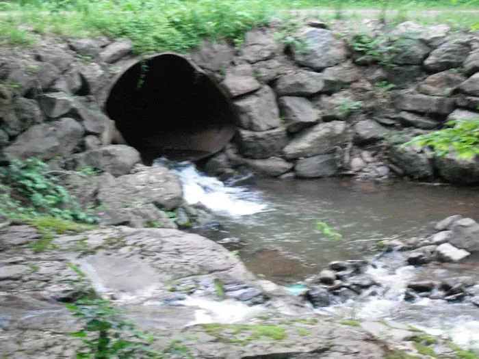 Doherty's Mountain View Campground 8