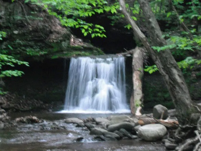 Doherty's Mountain View Campground 9