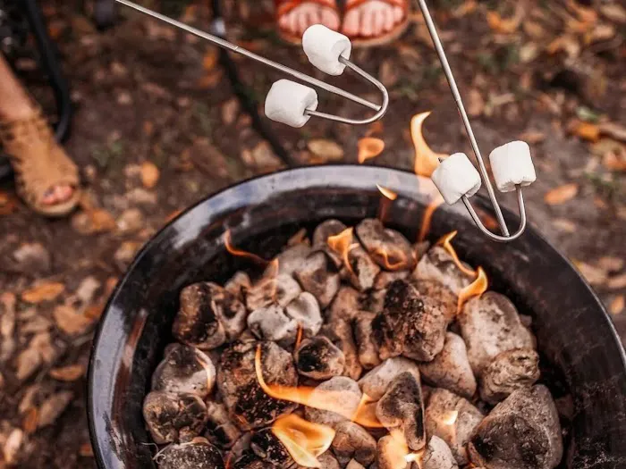 Timberline Glamping at Unicoi State Park 9