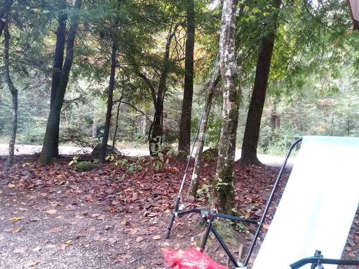 Mulky Campground 9