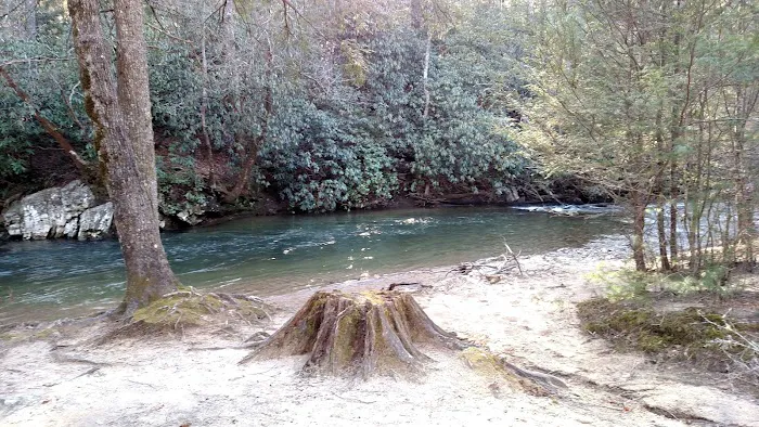 Mulky Campground 8