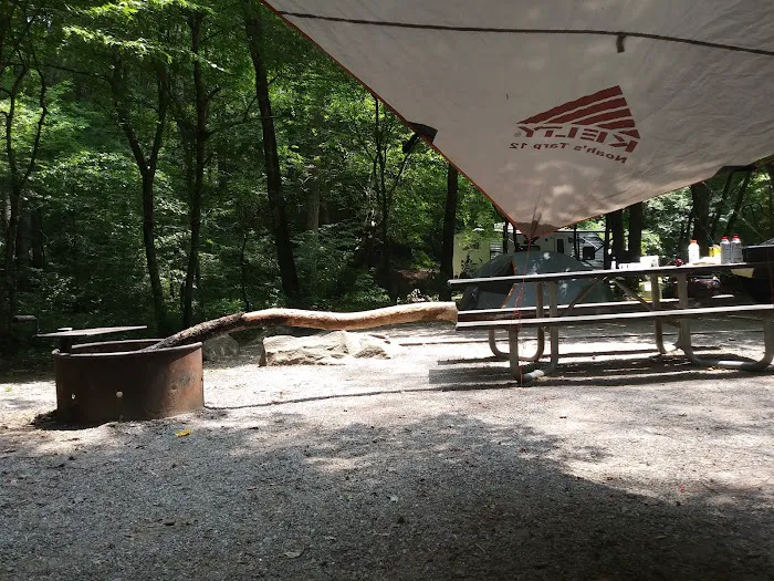 Mulky Campground 3