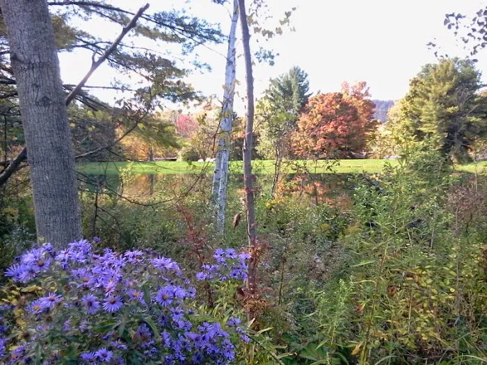 Cooperstown Shadow Brook Campground 7