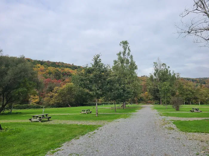 Susquehanna Trail Campground Oneonta NY 6