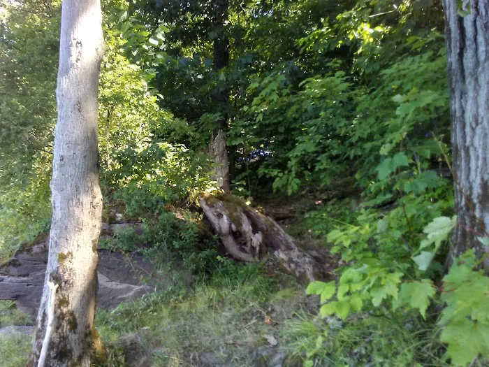 East Sidney Dam Recreation Area 4