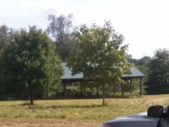 Lizzie's Campground Corporation 8