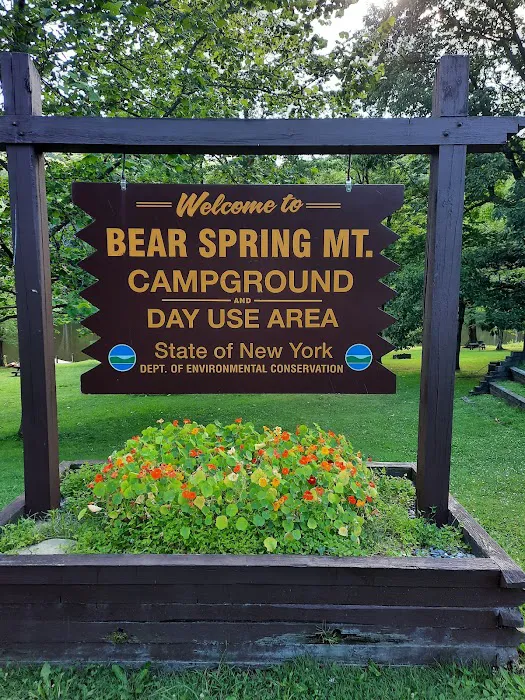 Bear Spring Mountain Campground 7