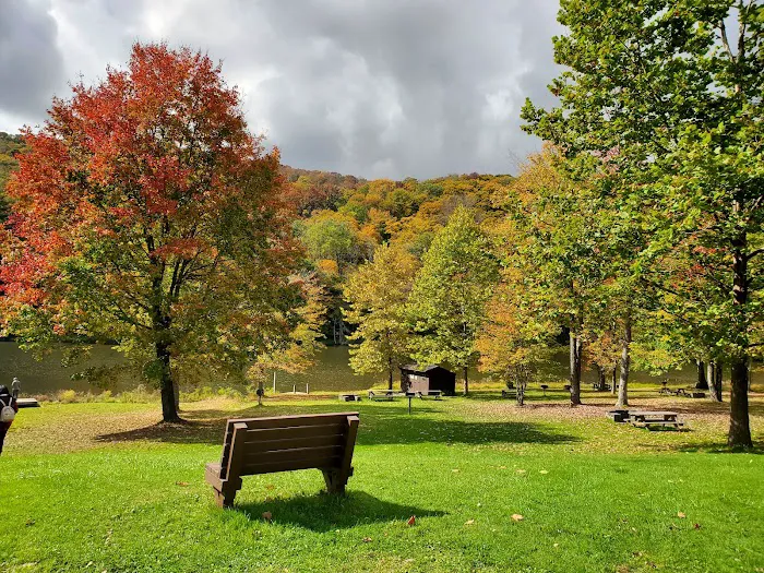 Bear Spring Mountain Campground 9