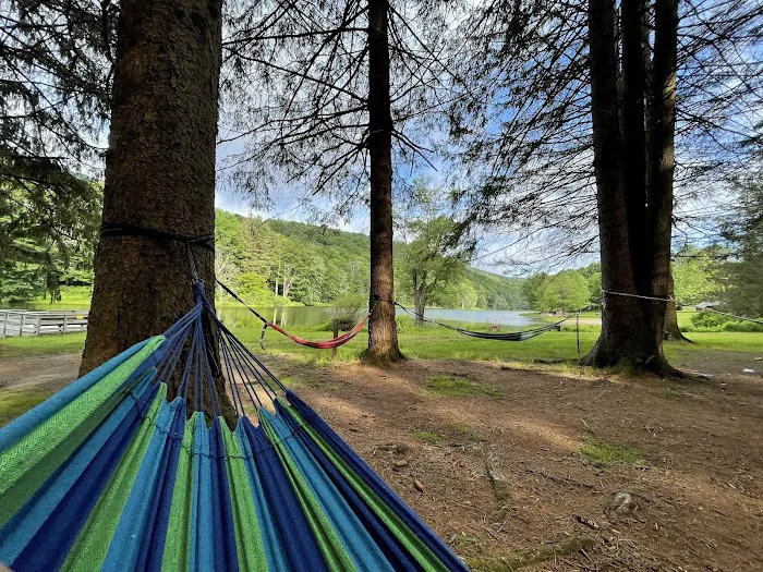 Bear Spring Mountain Campground 2