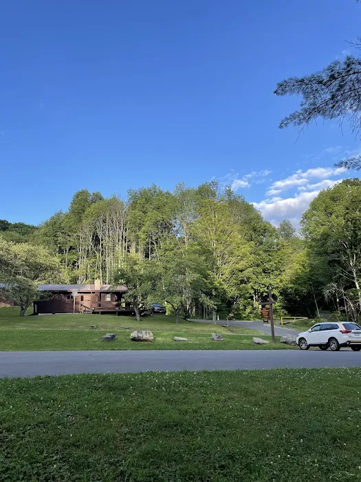 Bear Spring Mountain Campground 4